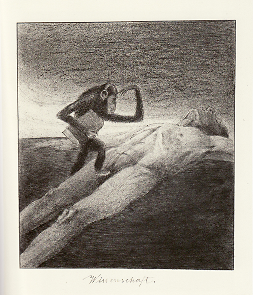 Alfred Kubin - Wissenschaft   --  KoKa Augsburg